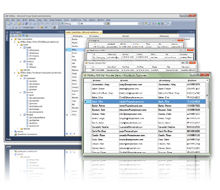Wordpress ADO.NET Provider