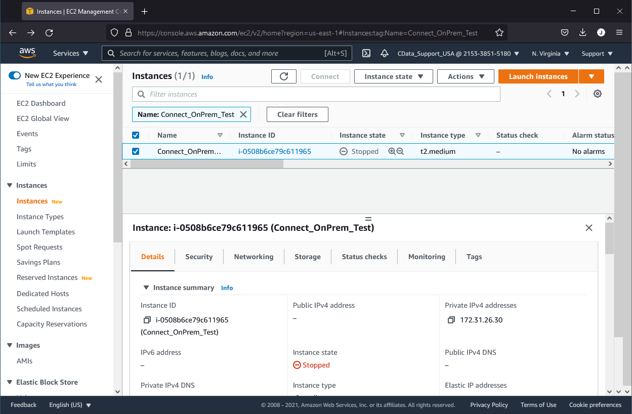 CData Connect as an Amazon EC2 Instance