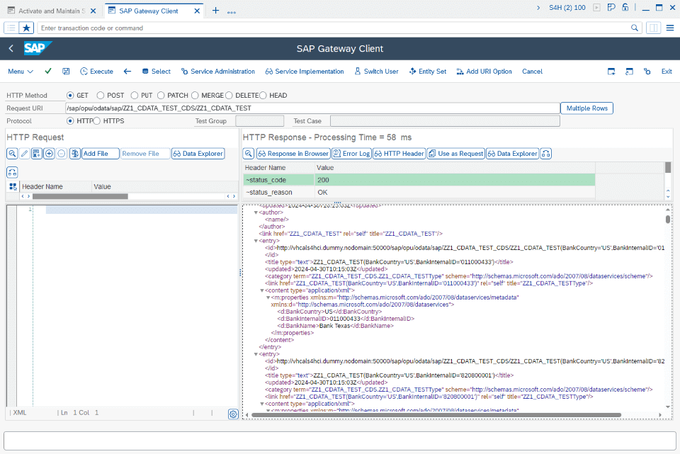 SAP Gateway Client Screen