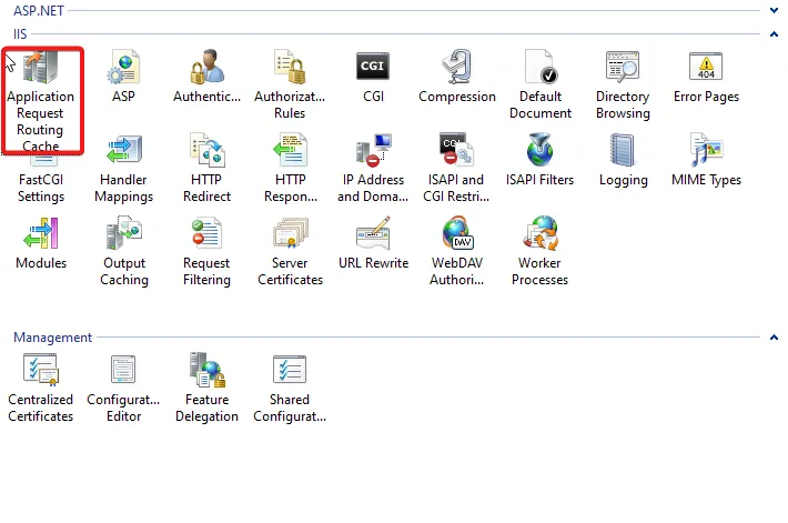 Application Request Routing Cache