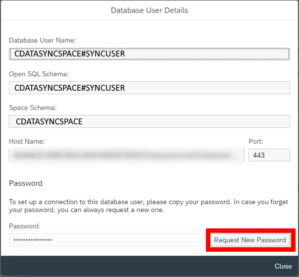 Database User Connection Info + New Password Request