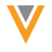 Veeva Vault & Vault CRM Icon